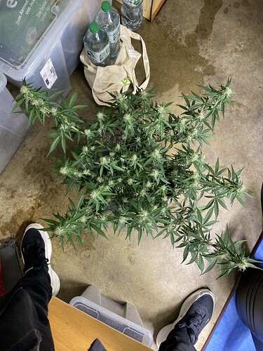 Growreport Bild 48