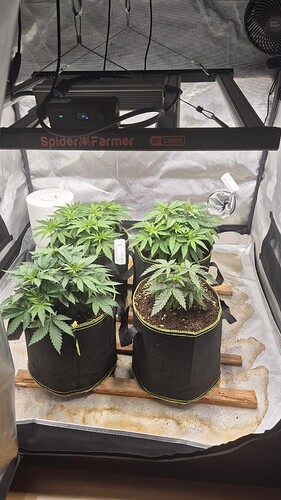 Growreport Bild 2