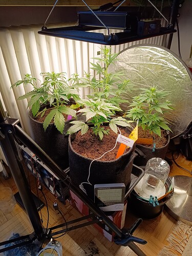 Growreport Bild 1