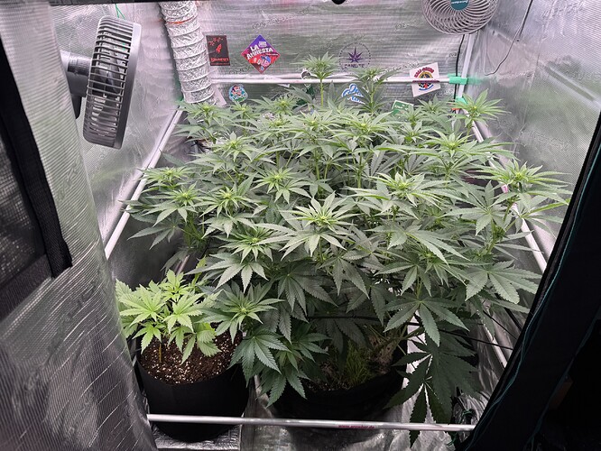 Growreport Bild 16