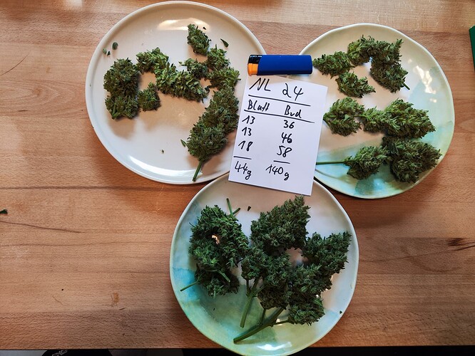 Growreport Bild 19