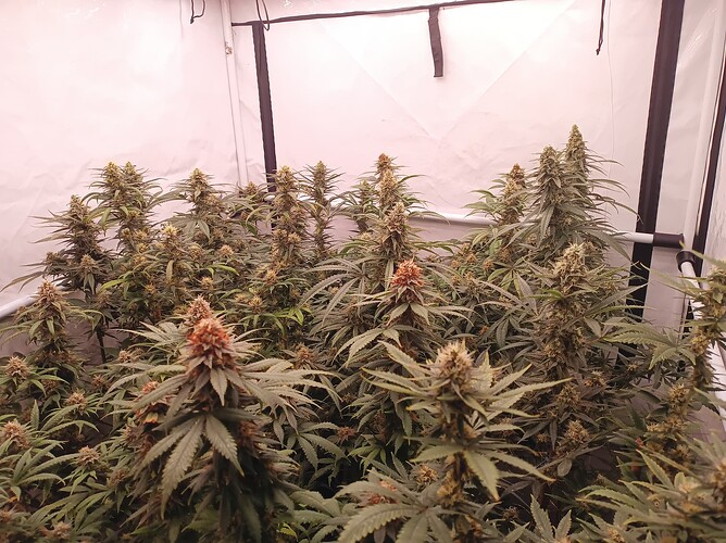 Growreport Bild 22