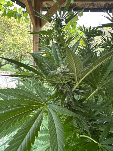 Growreport Bild 23
