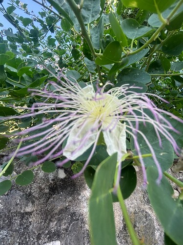 Growreport Bild 57