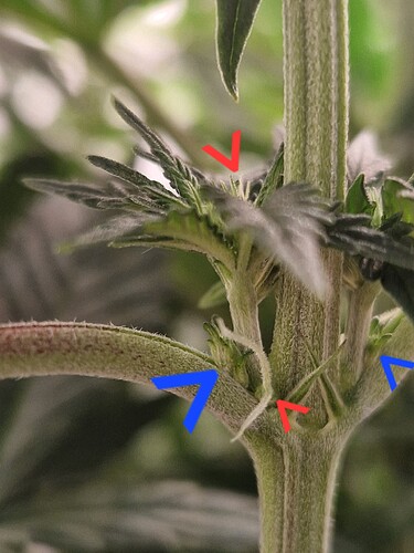 Growreport Bild 17