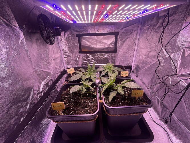 Growreport Bild 8