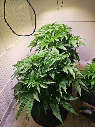 Growreport Bild 6