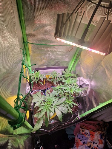 Growreport Bild 18