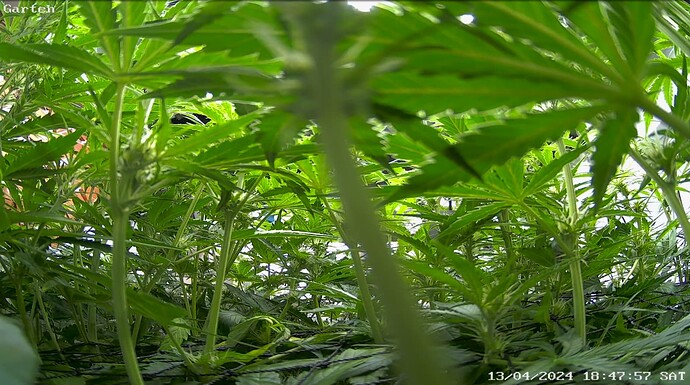 Growreport Bild 5