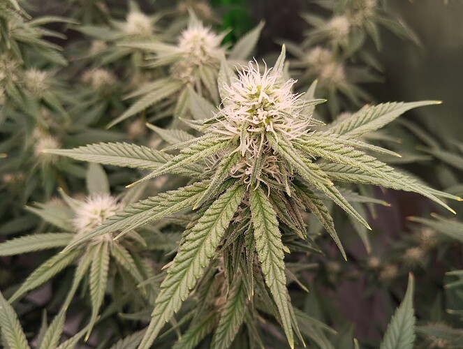 Growreport Bild 10