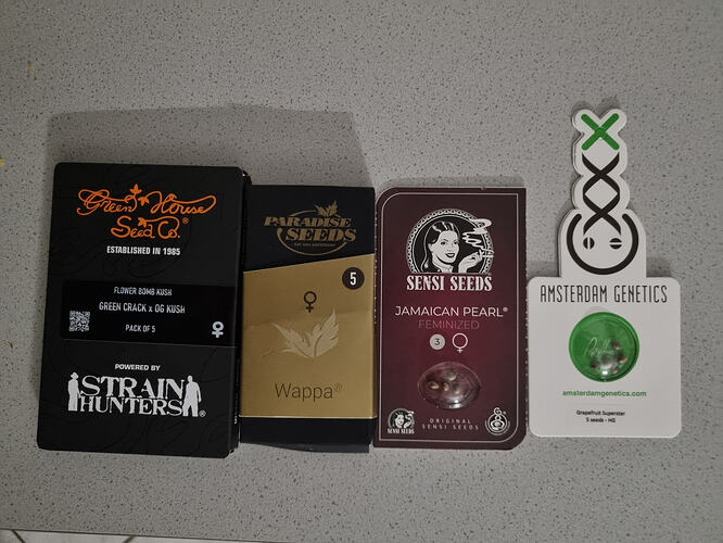 Vier Packungen mit Cannabissamen und ein Aufkleber von Amsterdam Genetics.