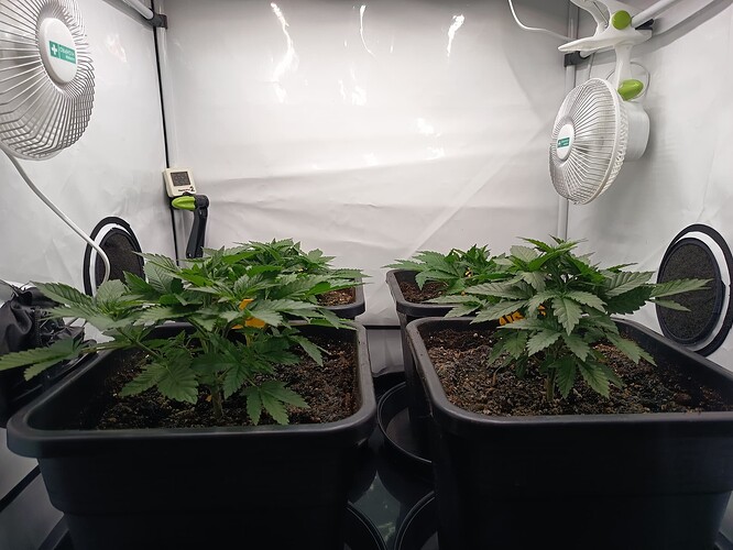Growreport Bild 17