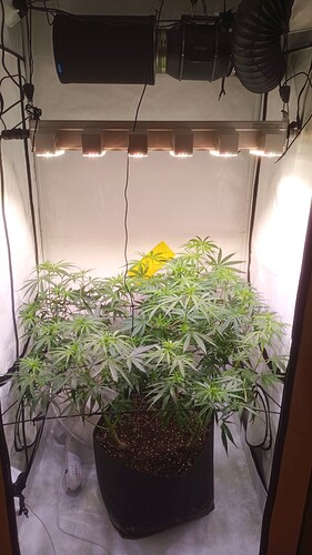 Growreport Bild 26