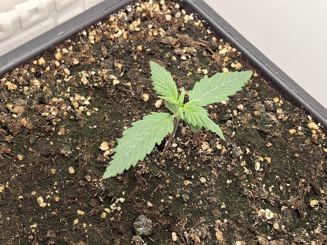 Growreport Bild 21