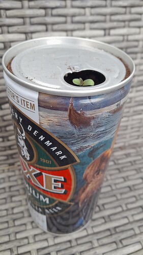 Growreport Bild 11