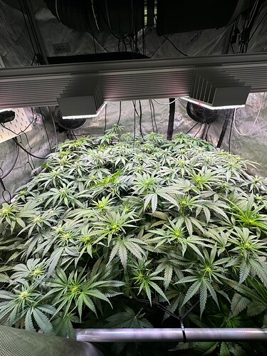 Growreport Bild 14