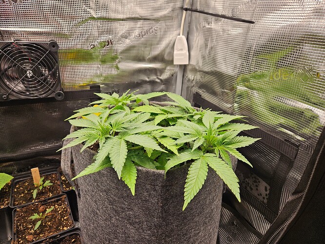 Growreport Bild 11