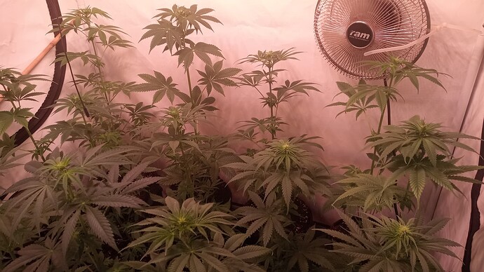Growreport Bild 12