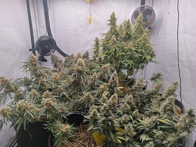 Growreport Bild 6