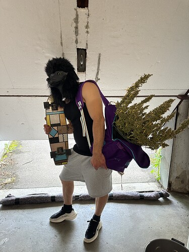 Growreport Bild 3