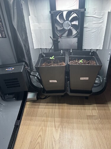 Growreport Bild 1