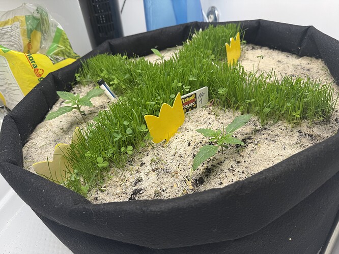 Growreport Bild 30