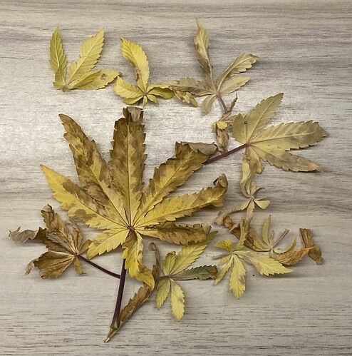Growreport Bild 21