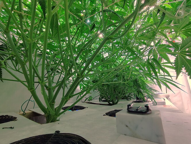 Growreport Bild 10