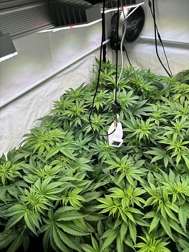 Growreport Bild 23