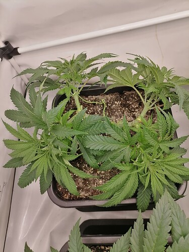 Growreport Bild 10