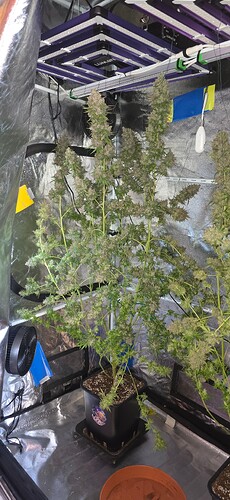 Growreport Bild 58
