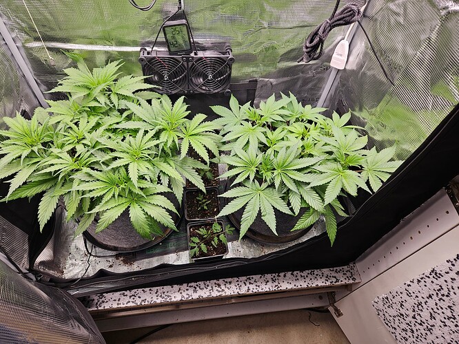 Growreport Bild 5
