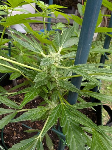 Growreport Bild 11