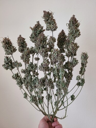 Growreport Bild 10
