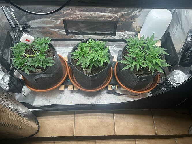 Growreport Bild 17