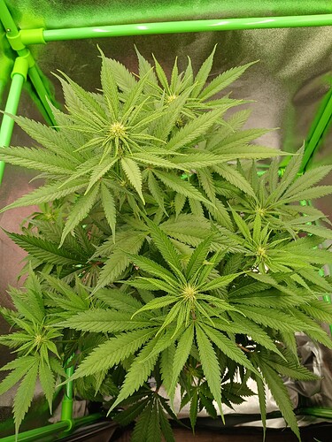 Growreport Bild 9