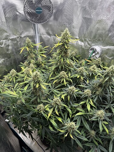 Growreport Bild 1