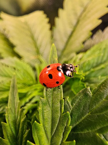 Growreport Bild 19
