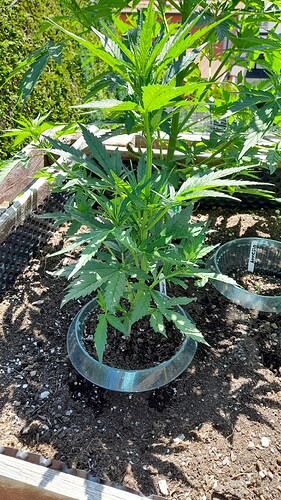 Growreport Bild 12