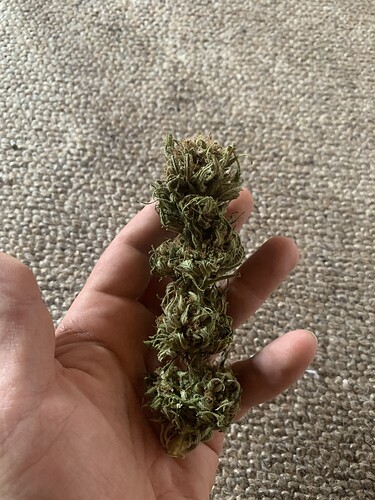 Growreport Bild 1