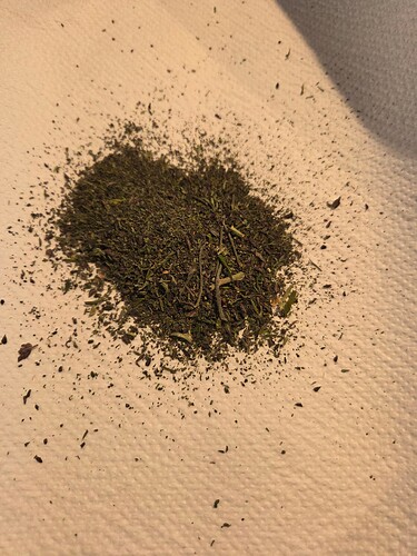 Growreport Bild 1