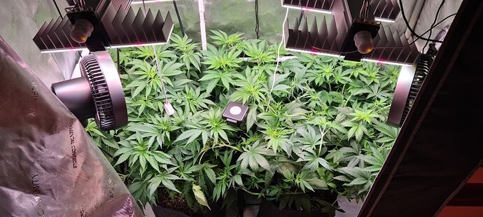 Growreport Bild 1