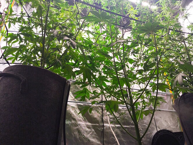 Growreport Bild 15
