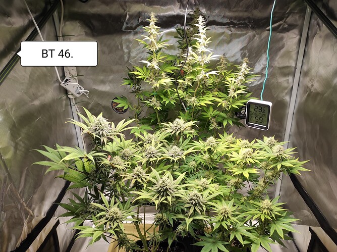 Growreport Bild 2
