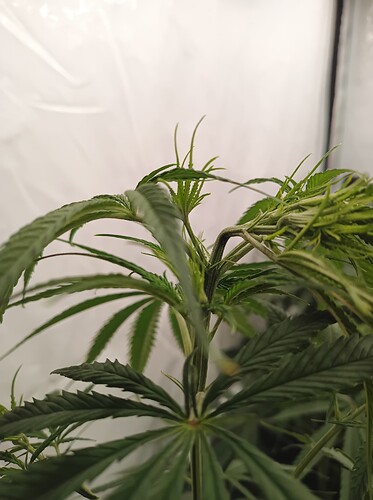 Growreport Bild 9