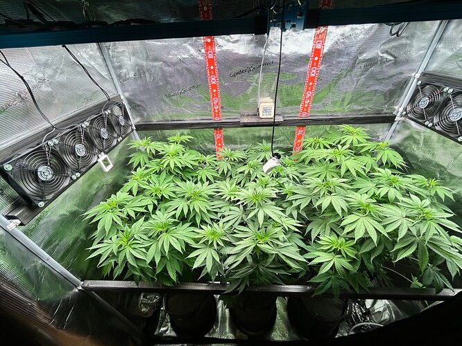 Growreport Bild 19