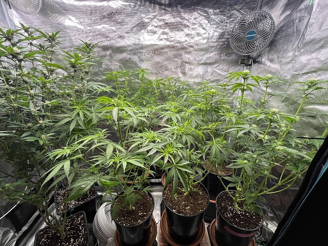 Growreport Bild 11
