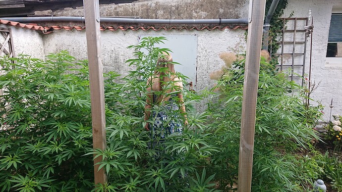 Growreport Bild 32