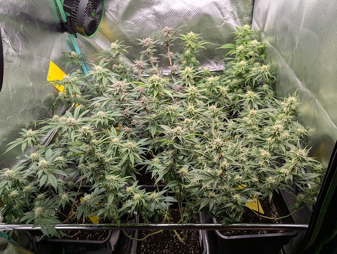 Growreport Bild 8