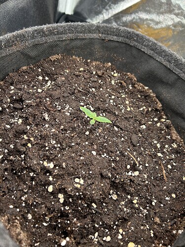 Growreport Bild 5